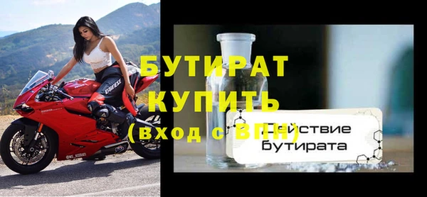 индика Богородицк