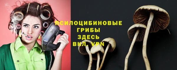 jwh Богородск