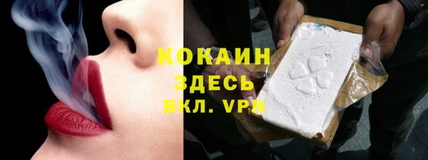 индика Богородицк