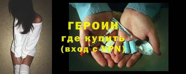 индика Богородицк