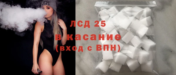 индика Богородицк