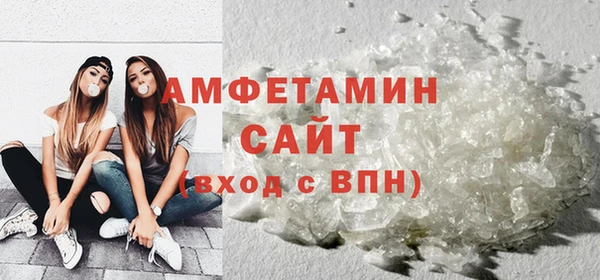 индика Богородицк