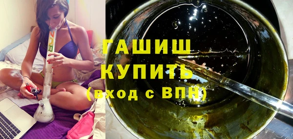 индика Богородицк