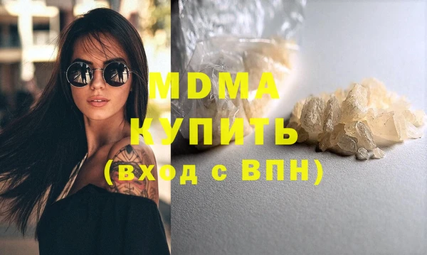 индика Богородицк