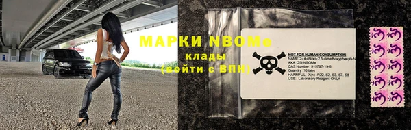 индика Богородицк