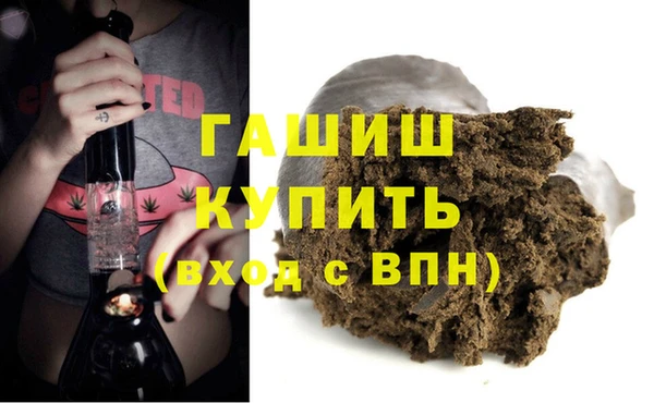 индика Богородицк