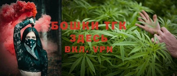 бошки Белокуриха