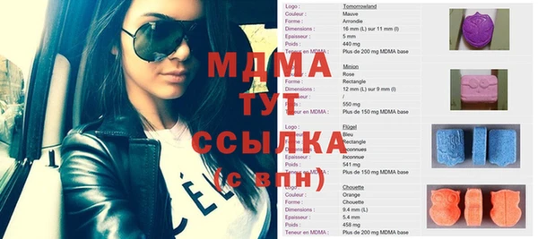 индика Богородицк