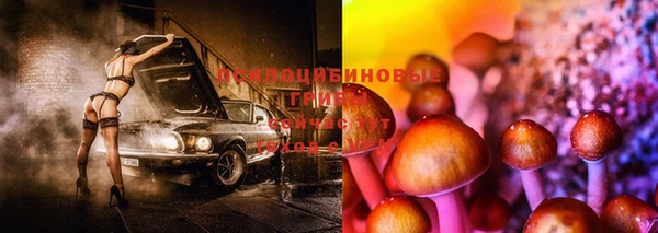 индика Богородицк