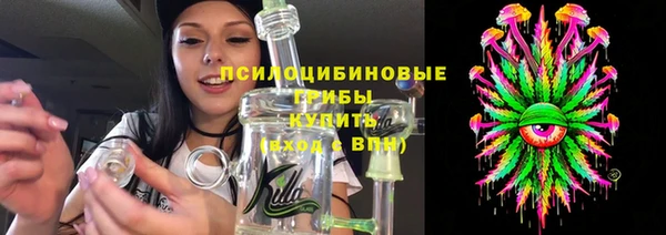 индика Богородицк